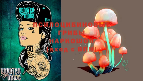2c-b Александровское