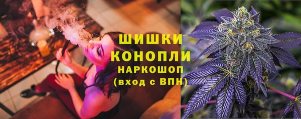 бошки Елабуга