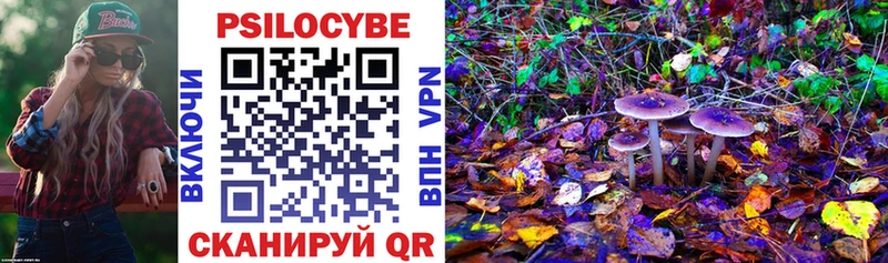 Купить закладки  Чёрмоз  Галлюциногенные грибы Magic Shrooms 